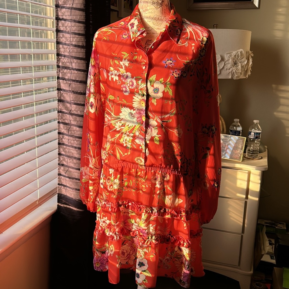 Beautiful Alexis dress